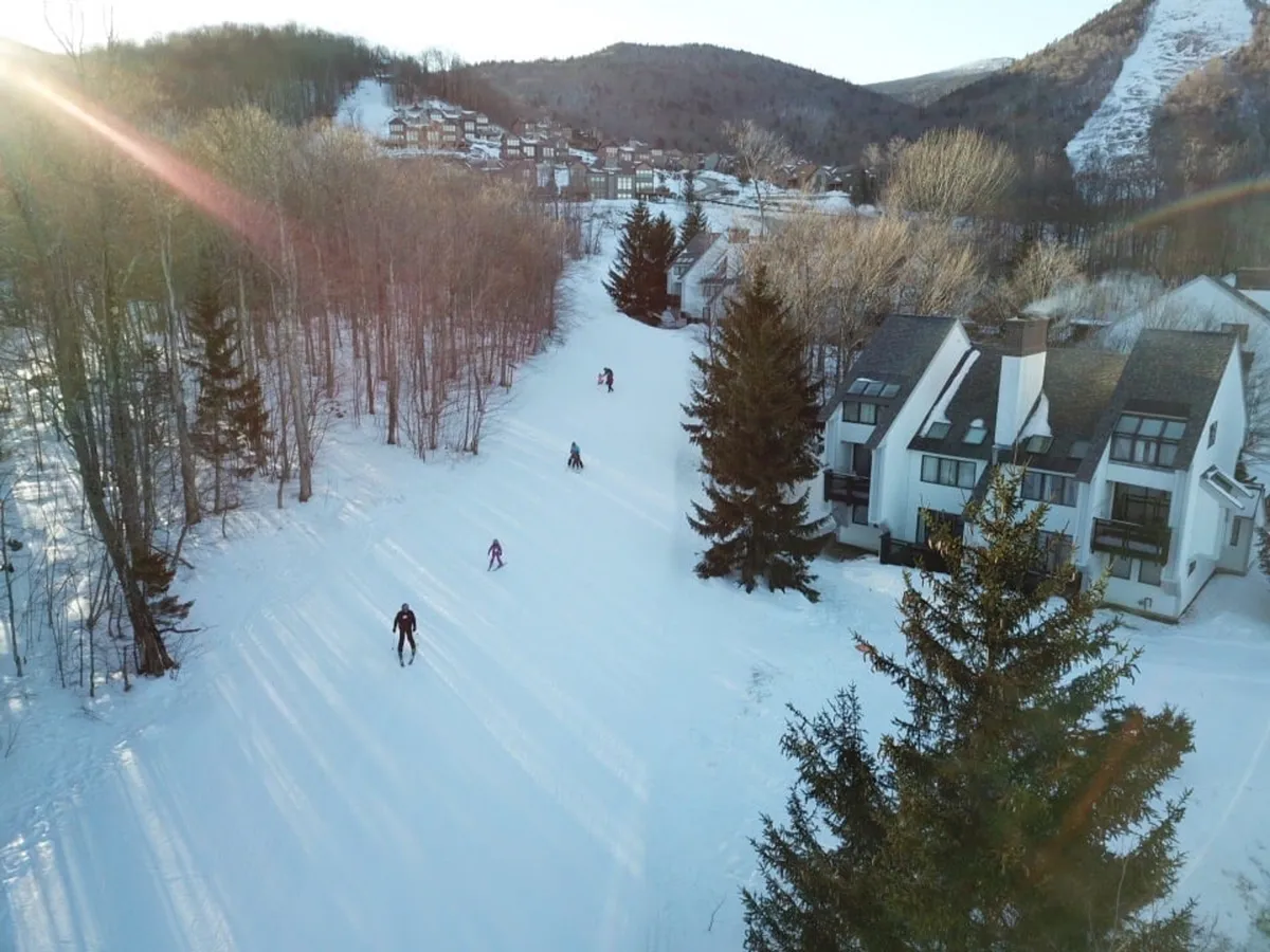This exterior image captures skiers gliding down a snow-covered slope surrounded by frosted trees, with the resort buildings nestled at the base of the mountain. The lively scene reflects the energy and excitement of a bustling ski resort, set against a picturesque mountain backdrop.