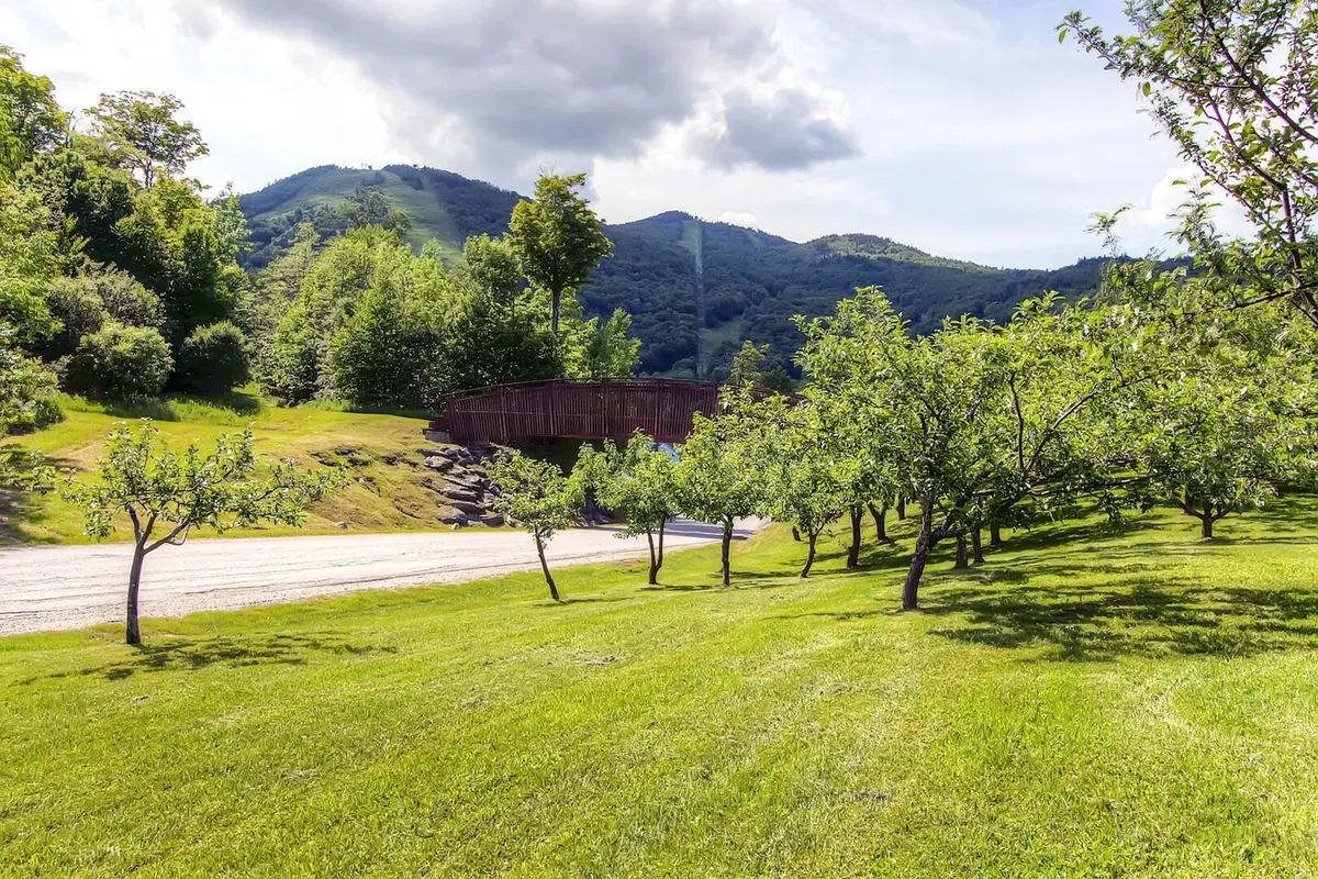 This image captures a wide expanse of lush green lawns dotted with fruit trees, a charming wooden bridge, and a stunning mountain backdrop. The scene hints at activities like nature walks, picnics, and quiet contemplation amidst Vermont’s natural beauty.